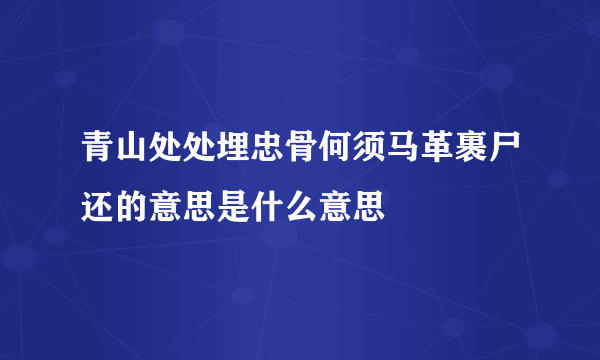 青山处处埋忠骨何须马革裹尸还的意思是什么意思