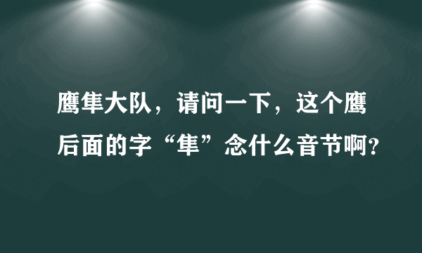 鹰隼大队，请问一下，这个鹰后面的字“隼”念什么音节啊？