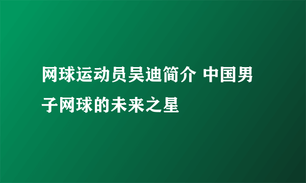 网球运动员吴迪简介 中国男子网球的未来之星