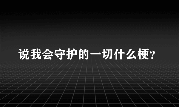 说我会守护的一切什么梗？