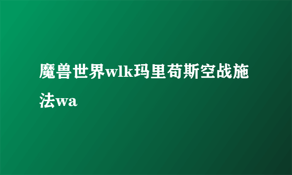 魔兽世界wlk玛里苟斯空战施法wa