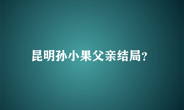 昆明孙小果父亲结局？