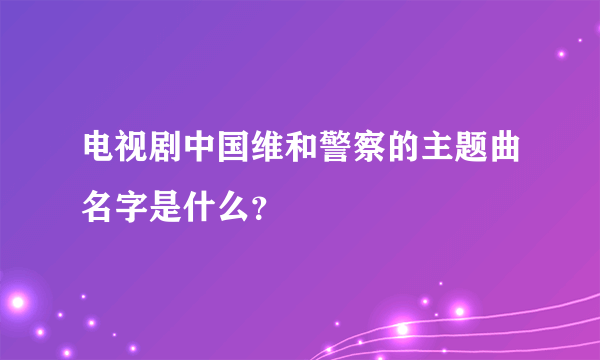 电视剧中国维和警察的主题曲名字是什么？