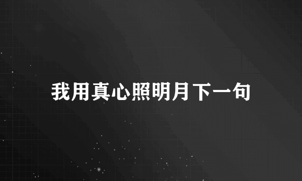 我用真心照明月下一句