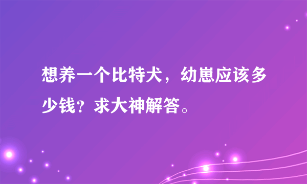 想养一个比特犬，幼崽应该多少钱？求大神解答。