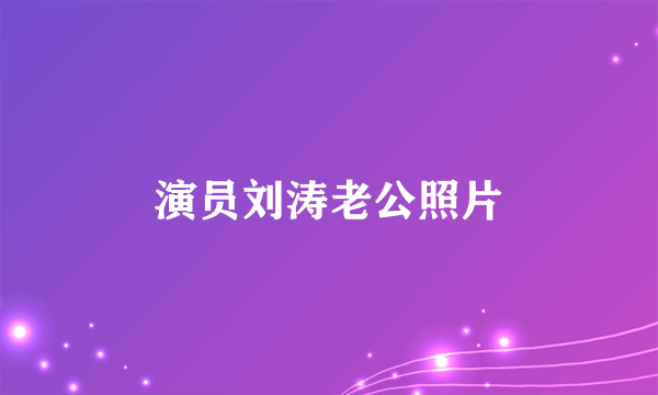 演员刘涛老公照片