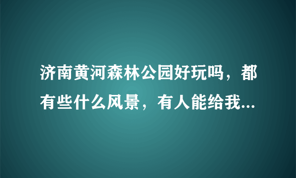 济南黄河森林公园好玩吗，都有些什么风景，有人能给我做下介绍吗