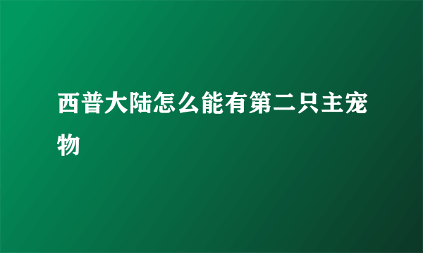 西普大陆怎么能有第二只主宠物