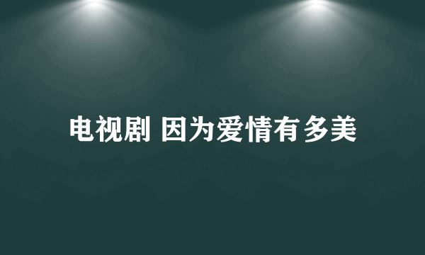 电视剧 因为爱情有多美