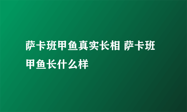 萨卡班甲鱼真实长相 萨卡班甲鱼长什么样