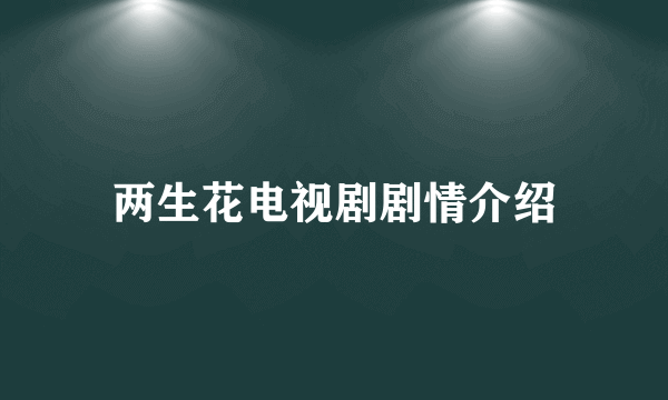 两生花电视剧剧情介绍