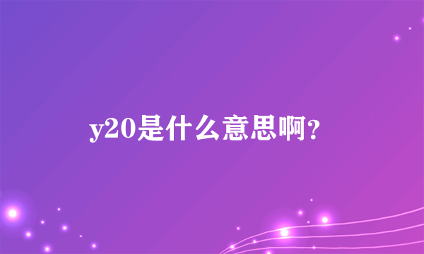 y20是什么意思啊？