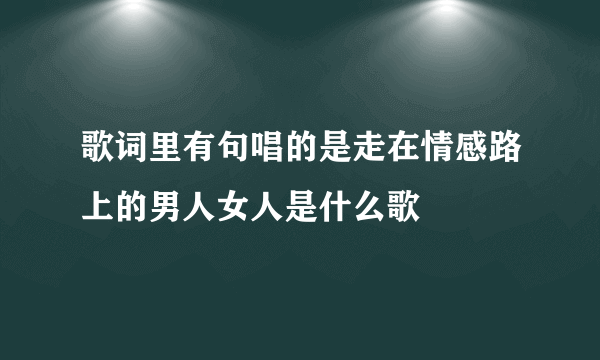 歌词里有句唱的是走在情感路上的男人女人是什么歌