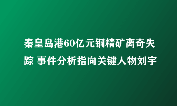 秦皇岛港60亿元铜精矿离奇失踪 事件分析指向关键人物刘宇