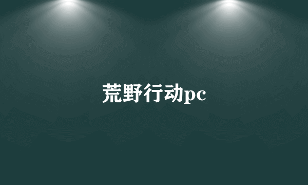 荒野行动pc