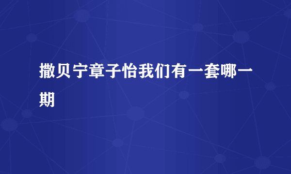 撒贝宁章子怡我们有一套哪一期