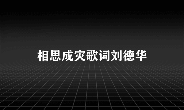 相思成灾歌词刘德华