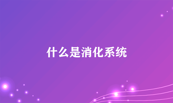 什么是消化系统