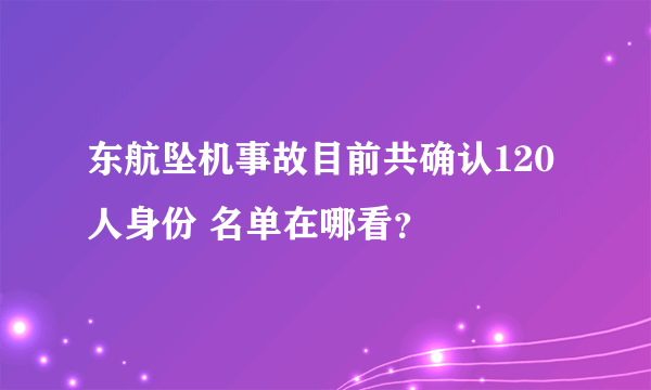 东航坠机事故目前共确认120人身份 名单在哪看？