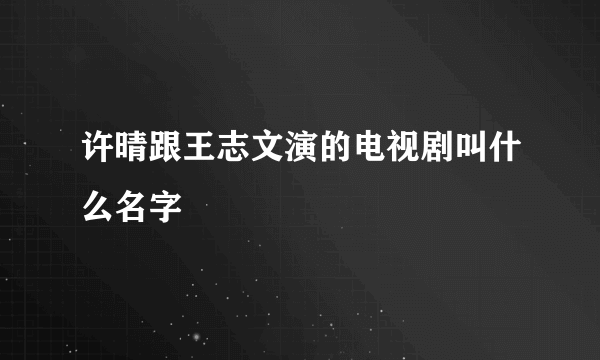 许晴跟王志文演的电视剧叫什么名字