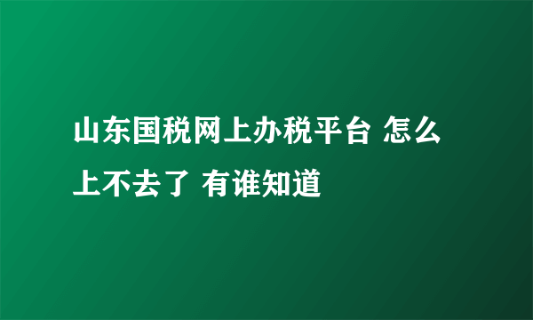 山东国税网上办税平台 怎么上不去了 有谁知道