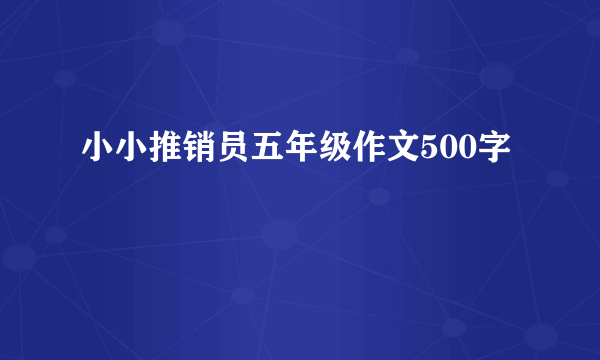 小小推销员五年级作文500字