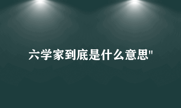 六学家到底是什么意思