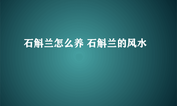 石斛兰怎么养 石斛兰的风水