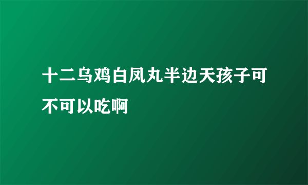 十二乌鸡白凤丸半边天孩子可不可以吃啊