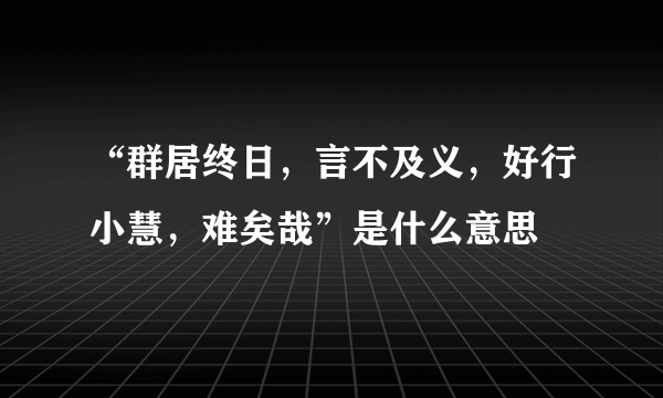 “群居终日，言不及义，好行小慧，难矣哉”是什么意思