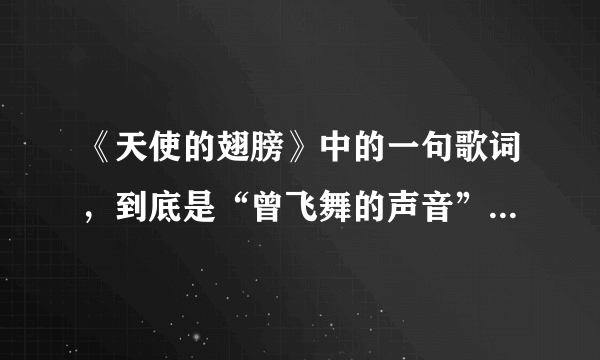 《天使的翅膀》中的一句歌词，到底是“曾飞舞的声音”还是“飞舞的身影”？？