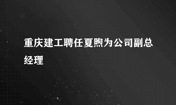 重庆建工聘任夏煦为公司副总经理