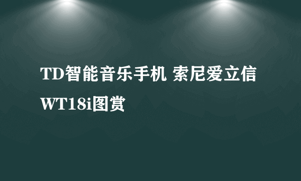 TD智能音乐手机 索尼爱立信WT18i图赏