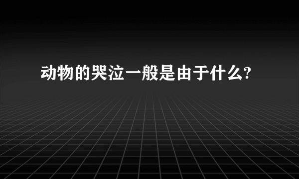 动物的哭泣一般是由于什么?