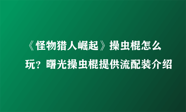 《怪物猎人崛起》操虫棍怎么玩？曙光操虫棍提供流配装介绍