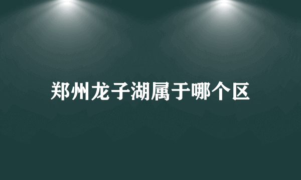 郑州龙子湖属于哪个区