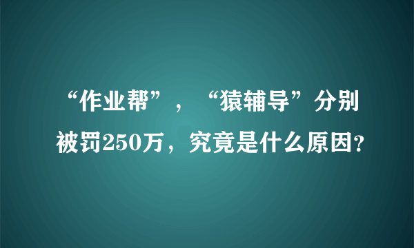 “作业帮”，“猿辅导”分别被罚250万，究竟是什么原因？