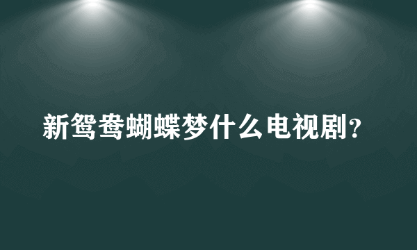 新鸳鸯蝴蝶梦什么电视剧？