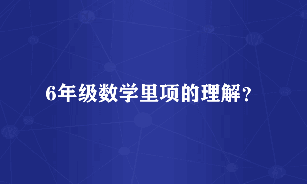 6年级数学里项的理解？