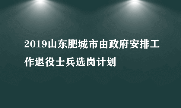 2019山东肥城市由政府安排工作退役士兵选岗计划