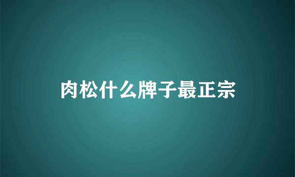 肉松什么牌子最正宗