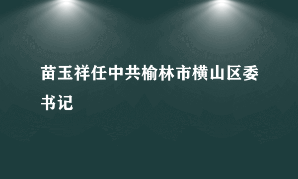 苗玉祥任中共榆林市横山区委书记