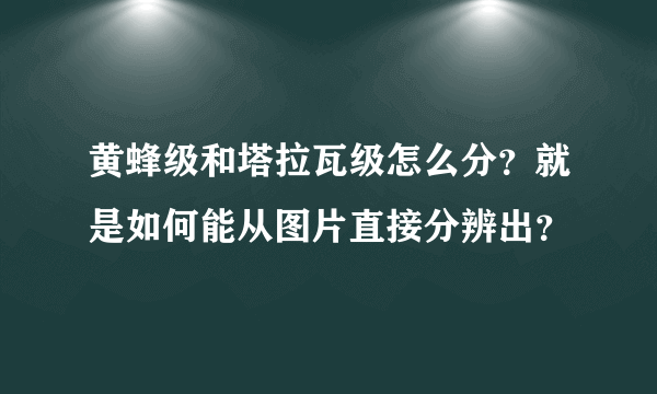 黄蜂级和塔拉瓦级怎么分？就是如何能从图片直接分辨出？