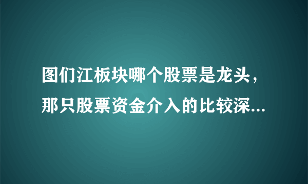 图们江板块哪个股票是龙头，那只股票资金介入的比较深？请分别介绍一下