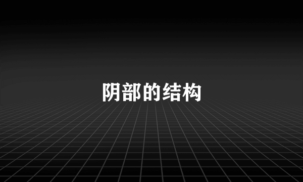 阴部的结构