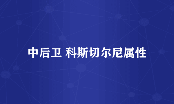 中后卫 科斯切尔尼属性