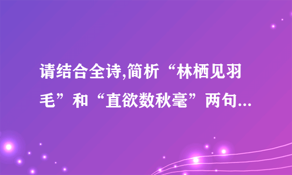 请结合全诗,简析“林栖见羽毛”和“直欲数秋毫”两句的妙处。(6分)1.C 解析 C项,不是把“霜露”比喻成“雪”,而是把“月光”比喻成“霜雪”。2.参考答案 “林栖见羽毛”,走在林间路上能看清栖息的鸟儿的羽毛;“直欲数秋毫”,简直想要数清兔子身上的细毛。烘托出了月光的皎洁,反衬自己内心的愁情。月光越明,愁情越重,极言流离之苦和归心之重。