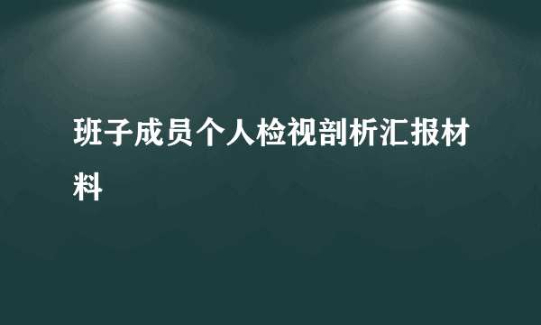 班子成员个人检视剖析汇报材料