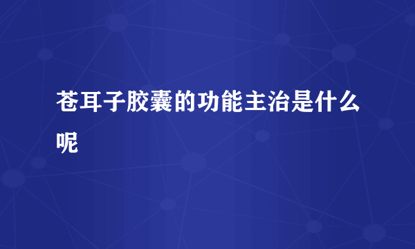 苍耳子胶囊的功能主治是什么呢