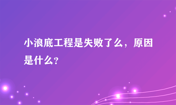 小浪底工程是失败了么，原因是什么？